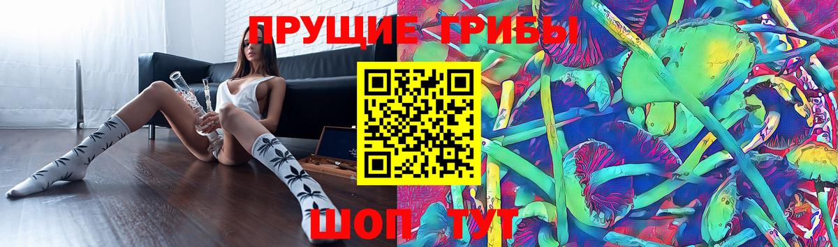 Галлюциногенные грибы Psilocybe  Вход с VPN  Балашов 