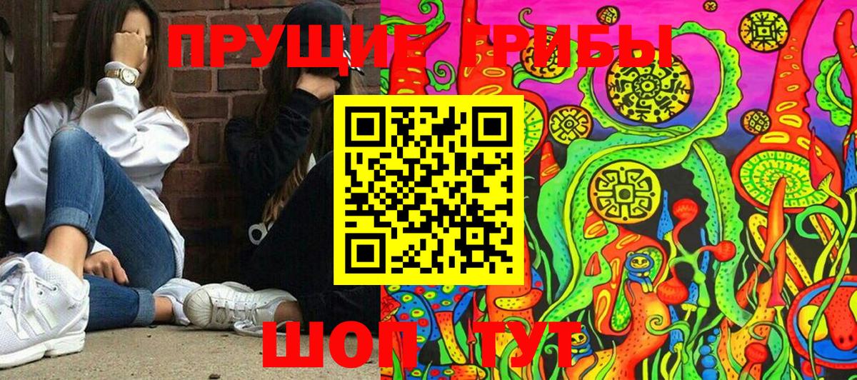 Галлюциногенные грибы Psilocybine cubensis Балашов